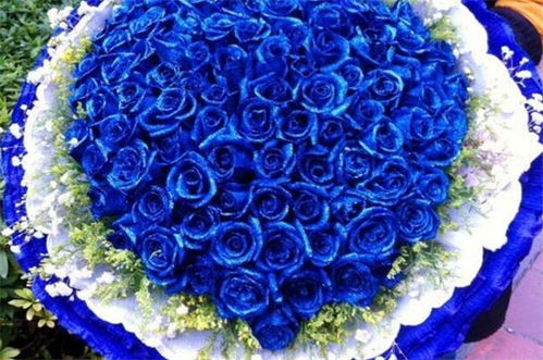 蓝色玫瑰花的花语是什么意思[蓝色玫瑰花的花语是什么意思呀]