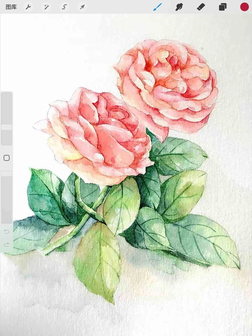 玫瑰花怎么画好看又简单,玫瑰花怎么画超简单