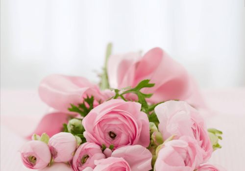 999朵粉色玫瑰花图片,999朵粉色玫瑰花多少钱