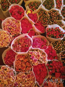 广州最大鲜花批发市场,广州最大的鲜花市场