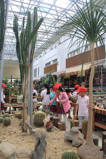 夏溪花木市场,全国最大的花卉市场批发基地