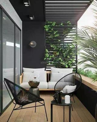 适合阳台暴晒的绿植,喜欢强光的阳台植物