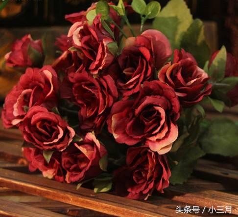 26种常见玫瑰花品种的寓意,各种玫瑰花寓意