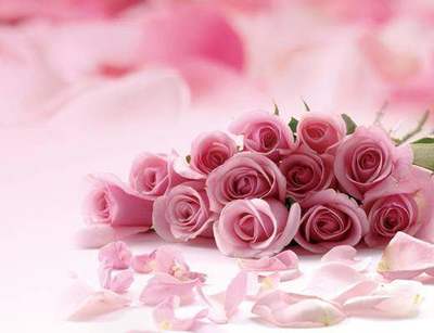 粉玫瑰几朵代表什么意思,粉色玫瑰几朵