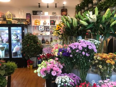 鲜花店里常见的鲜花有哪些,鲜花店里的花的名称和图片