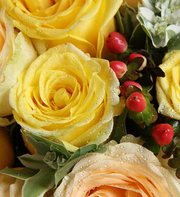 黄玫瑰代表,黄玫瑰代表的含义和象征寓意是什么
