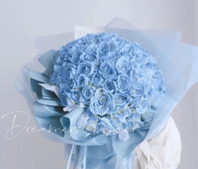 碎冰蓝玫瑰的含义,碎冰蓝玫瑰介绍