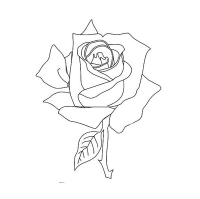 怎么画玫瑰花,怎么画玫瑰花束高级感
