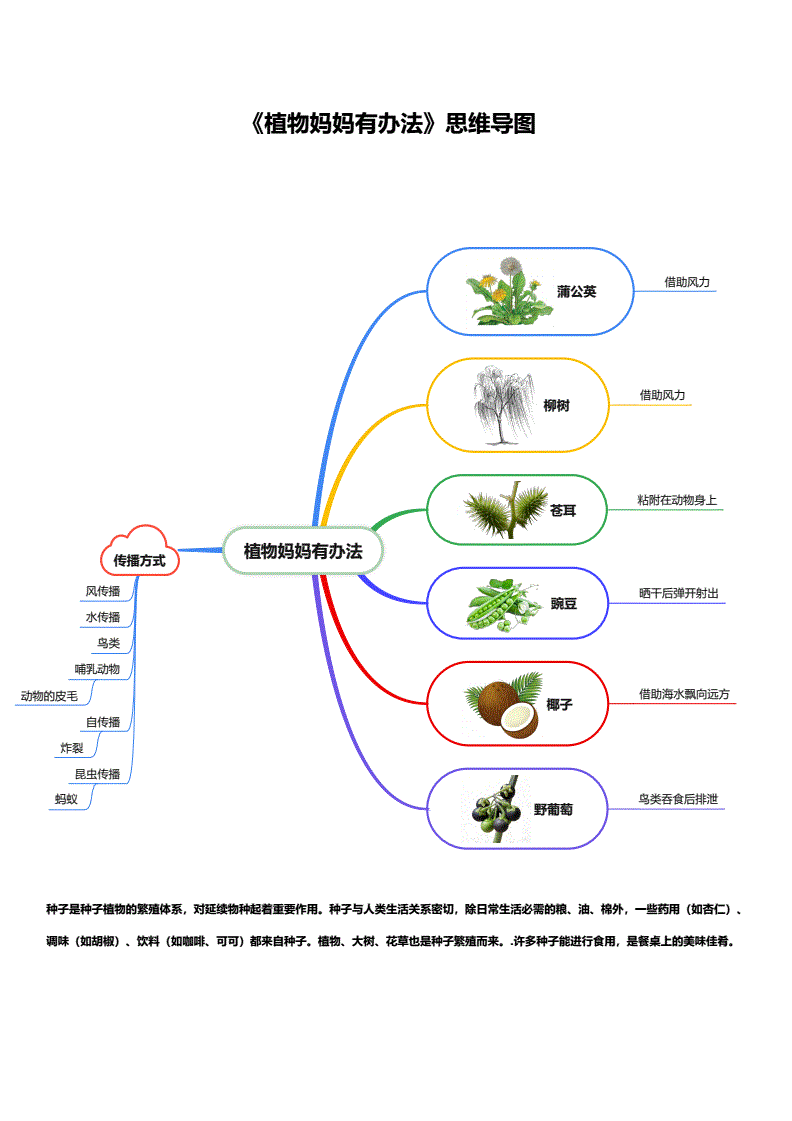 植物的分类方法有几种,植物界门纲目科属种总表图