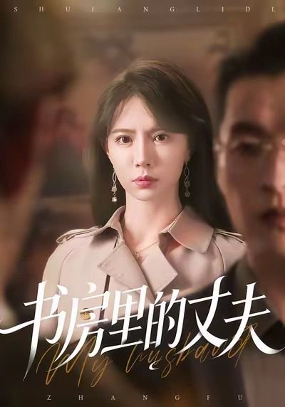 书房里的丈夫（100集）辛宛柔＆赵焕城 高清完整版