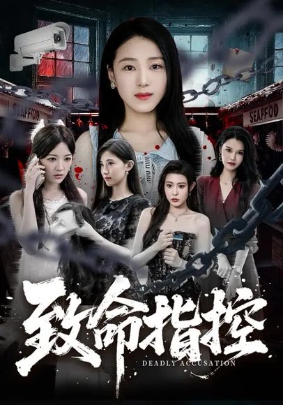 致命指控（65集）陈樱丹&李漠楠 高清完整版